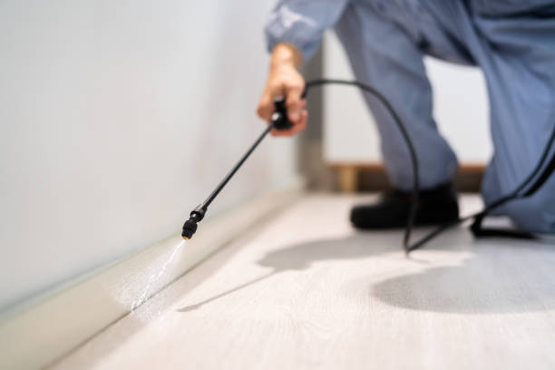 Bed Bug Pre-Treatment Preparation Assessment in Remlap