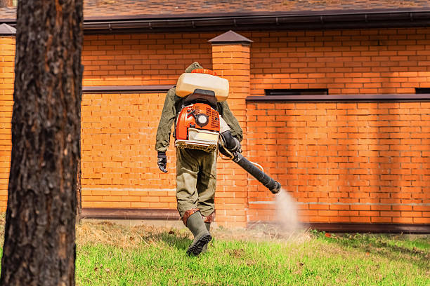 Bed Bug Clearance Verification and Documentation in Remlap
